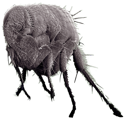 terapia de psicología en madrid